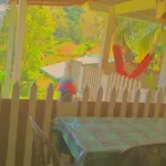 New Farmers Paradise