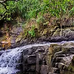 Creek Downhills