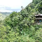 Naturewoodland