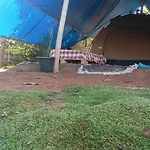 Freedom Camp Ella
