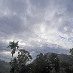 Ella Nimal Nest Inn