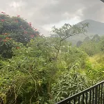 Ella Leafy Homestay