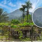 Alp Tourist Guest House