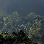 Alp Tourist Guest House