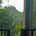 Littleadems View