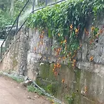 Cool Breeze View