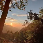 Oasis Ella