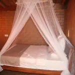 Jungle Cave