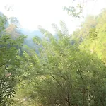 Evergreen Cottage