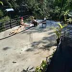 Ella Lucky Panoramic