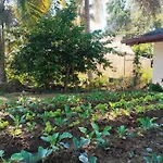 Ella Nature Valley Homestay