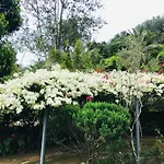 Bella Vista Ella