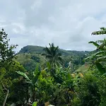 Ella Elysium Escapes