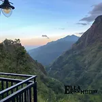 Ella Rock Mystery Guest