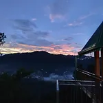 Miracle View Ella