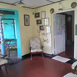 The1964 Green Paradise