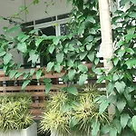 Dhanudi Homestay