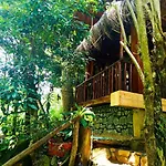 Jungle Face Inn