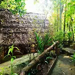 Jungle Face Inn