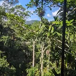 Ella Jungle Inn Homestay And Tree House