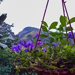 Ella Happy View Homestay