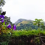 Ella Happy View Homestay