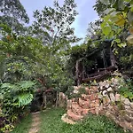 Wild Heart Glamping