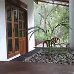 Mountain Nest