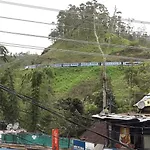 Yoho Aruna Guest