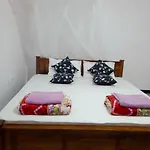 Windy Nest