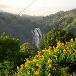 Rose Dale Homestay Ella
