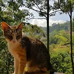 Waterfalls Homestay