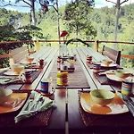 Waterfalls Homestay
