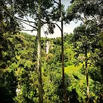 Waterfalls Homestay