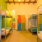 Bunk Station