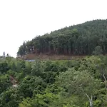 Green Lushy Home Stay