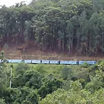 Green Lushy Home Stay