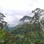 Ella View Hotel