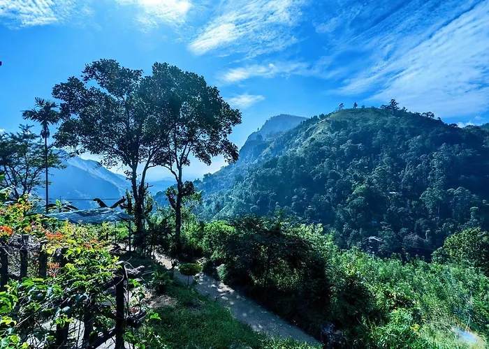 Lavendra Paradise