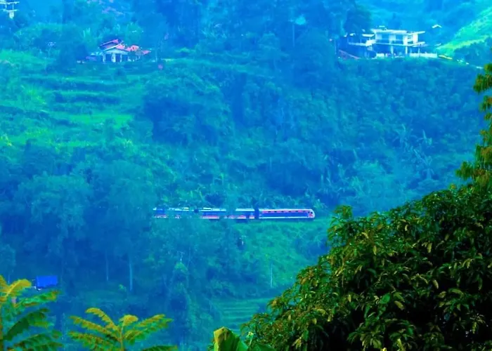 New Green View Resort