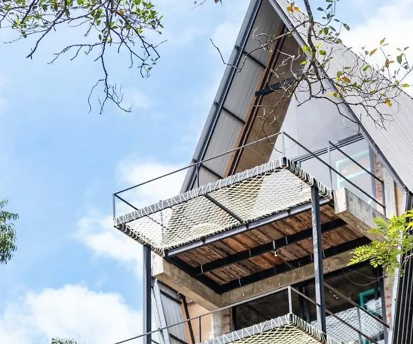 Wild Bee Hostel