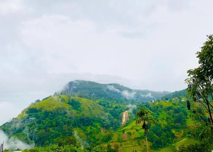 Elegant Hill