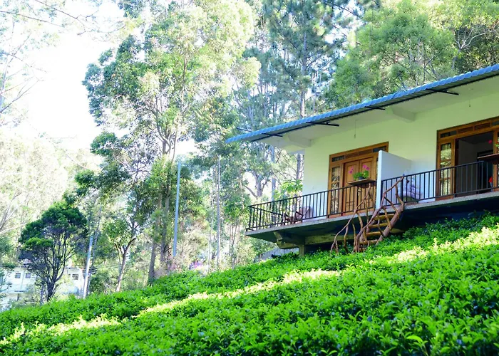 Green Wood Hotel