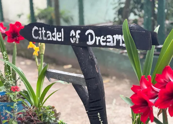 Citadel Of Dreams Ella