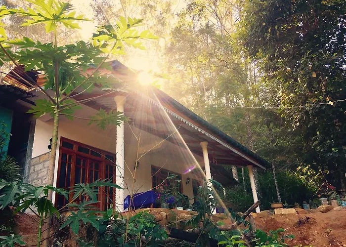 Secret Nest Homestay