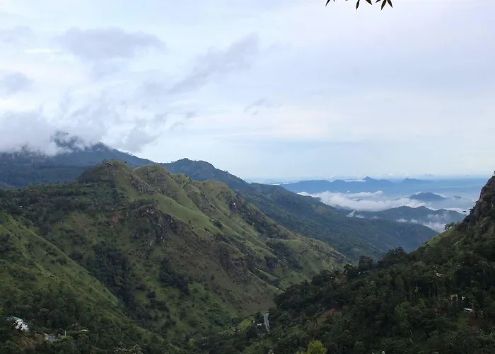 Amado Homestay Ella