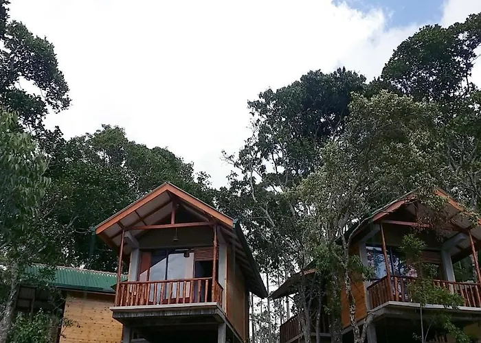 Saffron Eco Cottage