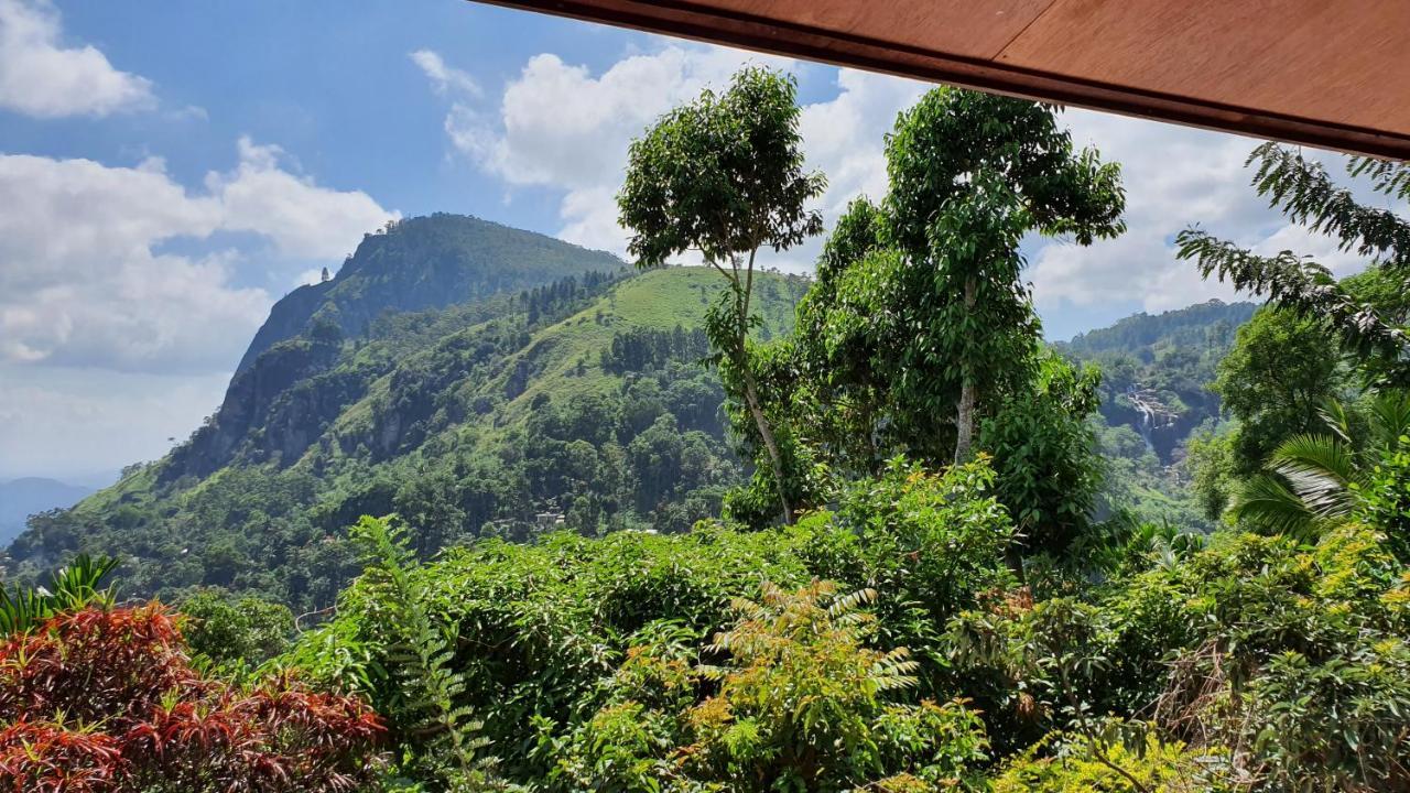 Mount View Guest Homestay *