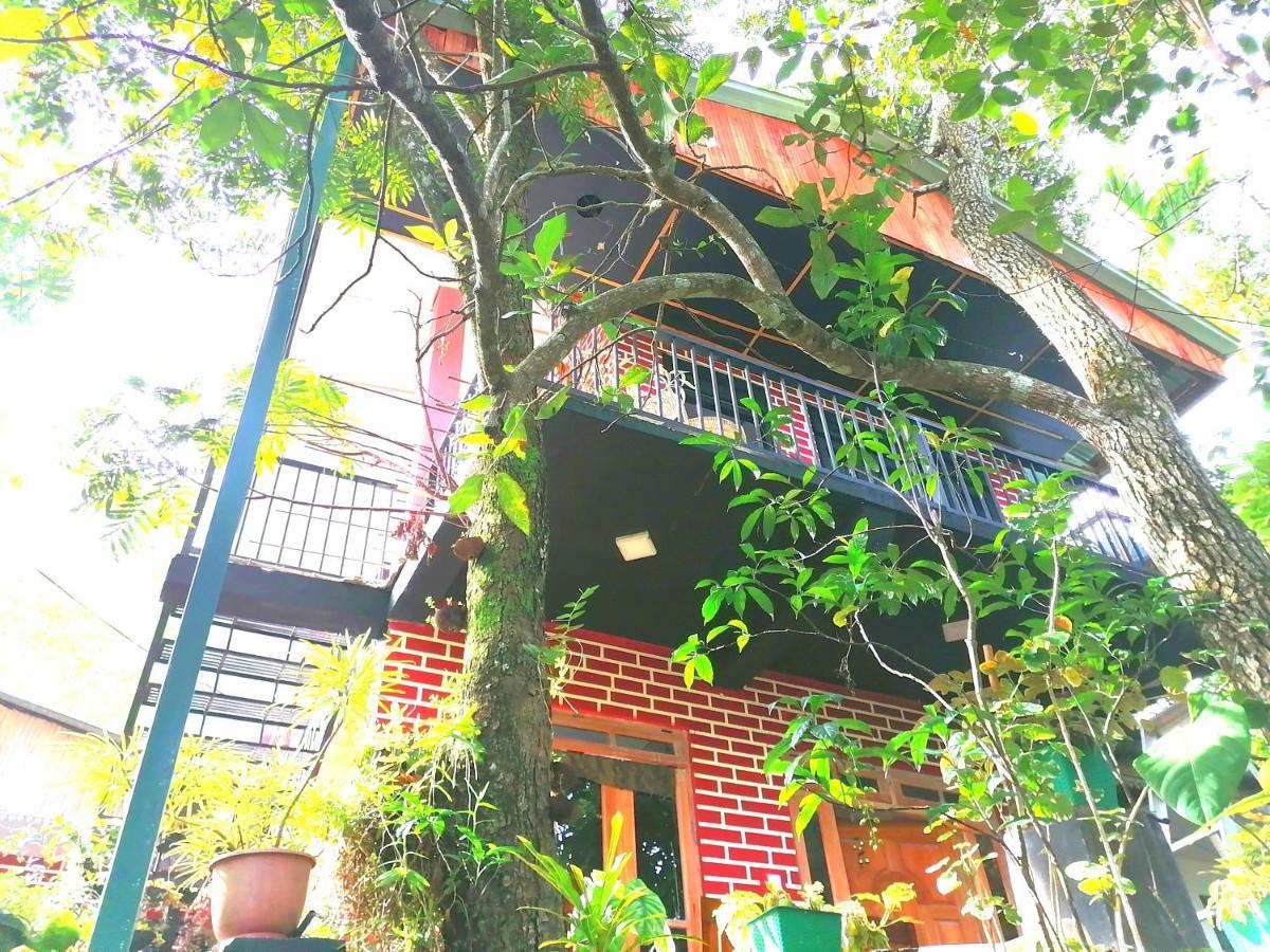 Summer Guest house