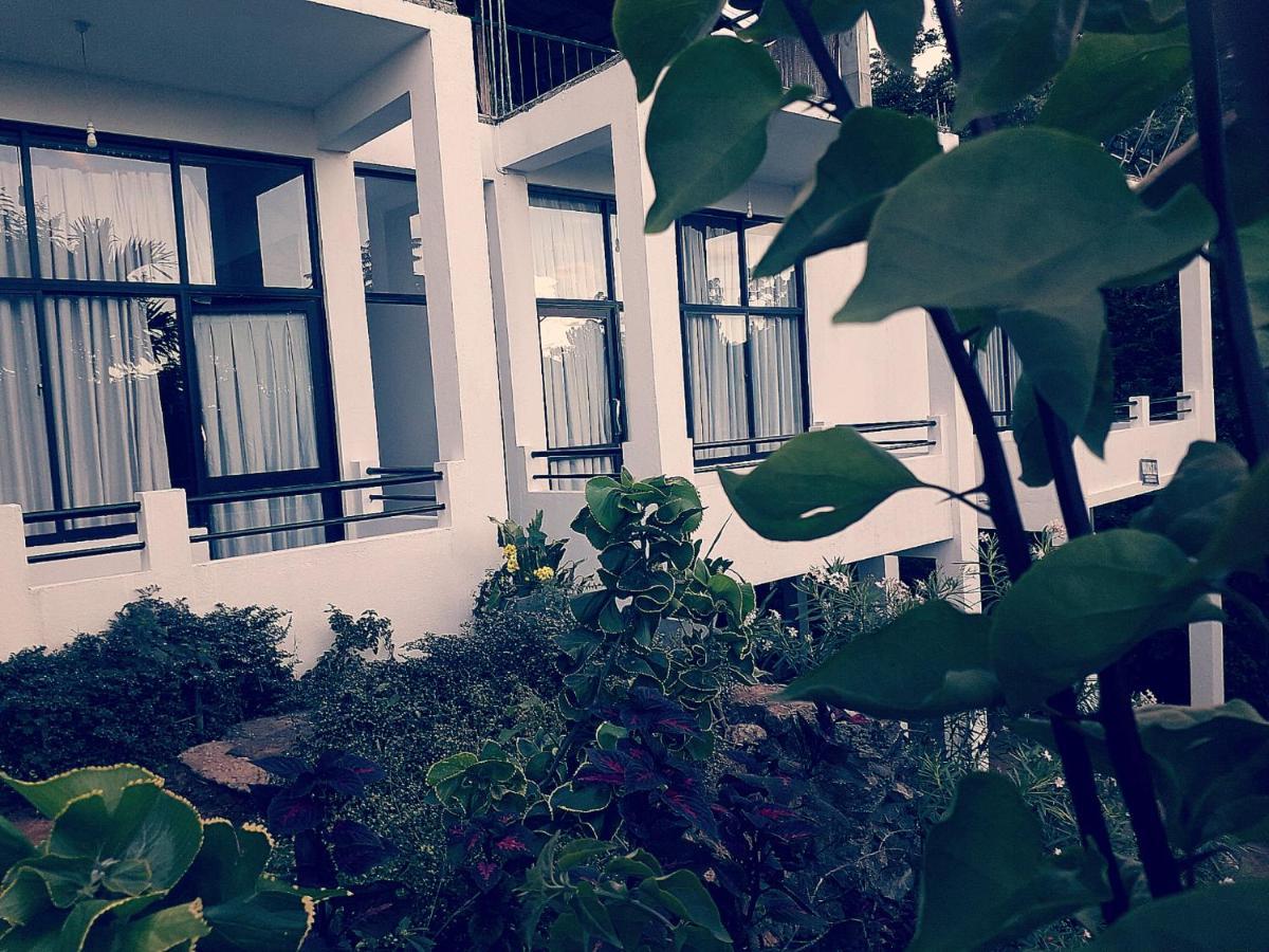 Guest house Monarch 3*